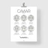 Affiche guide du caviar, des oeufs d'esturgeon beluga, osciètre, baeri