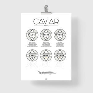 Affiche guide du caviar, des oeufs d'esturgeon beluga, osciètre, baeri