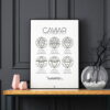 Affiche guide du caviar, des oeufs d'esturgeon beluga, osciètre, sevruga, sur fond noir