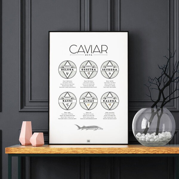 Affiche guide du caviar, des oeufs d'esturgeon beluga, osciètre, sevruga, sur fond noir