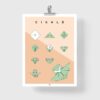 Affiche origami cigale, poster minimaliste géométrique, origami facile