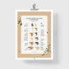 Affiche des champignons comestibles sauvages, où les trouver et en quelle saison