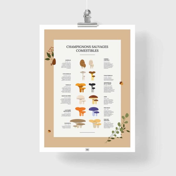 Affiche des champignons comestibles sauvages, où les trouver et en quelle saison