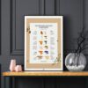 Affiche des champignons comestibles sauvages, où les trouver et en quelle saison, sur fond noir