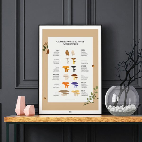 Affiche des champignons comestibles sauvages, où les trouver et en quelle saison, sur fond noir