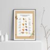 Affiche des champignons comestibles sauvages, où les trouver et en quelle saison, sur fond clair