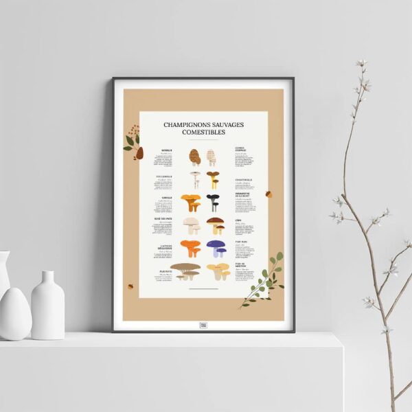 Affiche des champignons comestibles sauvages, où les trouver et en quelle saison, sur fond clair