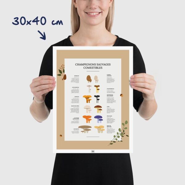 Affiche des champignons comestibles sauvages, où les trouver et en quelle saison, dimensions 30x40cm