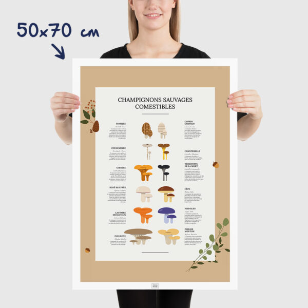Affiche des champignons comestibles sauvages, où les trouver et en quelle saison, dimensions 50x70cm