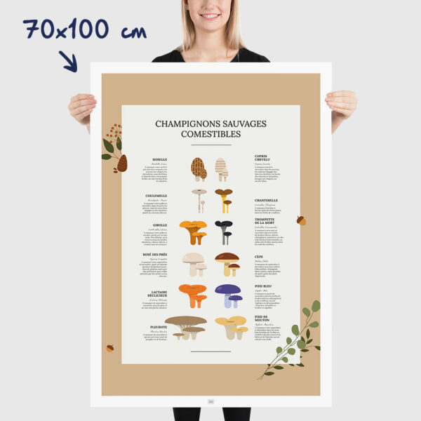 Affiche des champignons comestibles sauvages, où les trouver, en quelle saison, dimensions 70x100cm