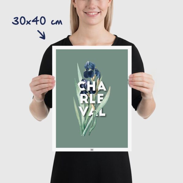 Affiche Iris de Charleval en Provence - poster vintage et rétro de Frog Posters, 30x40cm