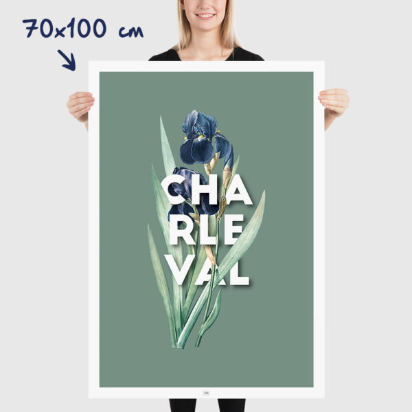 Affiche Iris de Charleval en Provence - poster vintage et rétro de Frog Posters, 70x100cm