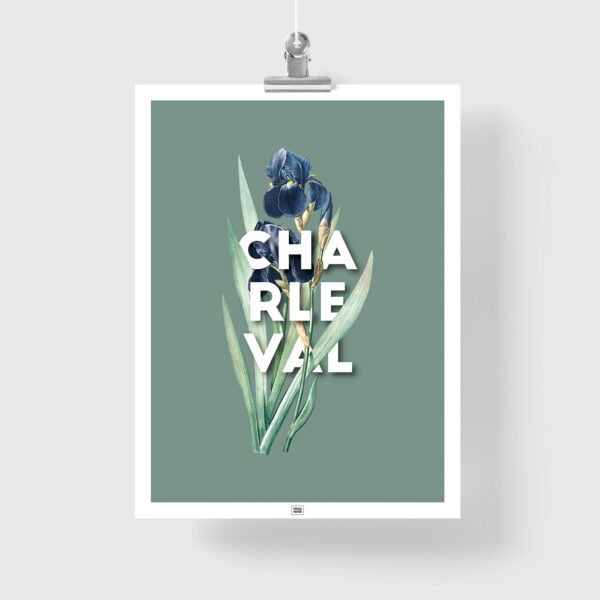 Affiche Iris de Charleval en Provence - poster vintage et rétro de Frog Posters