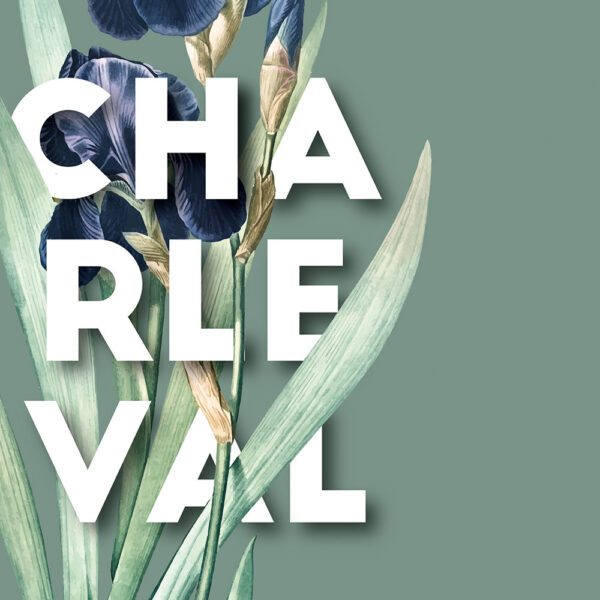 Affiche Iris de Charleval en Provence - poster vintage et rétro de Frog Posters, zoom