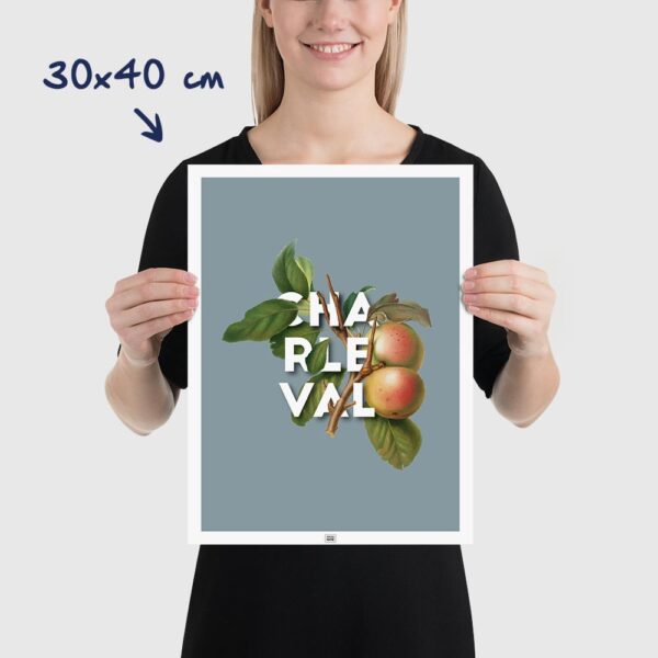 Affiche Pomme de Charleval en Provence - poster vintage et rétro de Frog Posters, 30x40cm