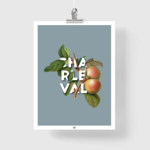 Affiche Pomme de Charleval en Provence - poster vintage et rétro de Frog Posters