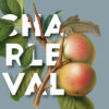 Affiche Pomme de Charleval en Provence - poster vintage et rétro de Frog Posters, zoom