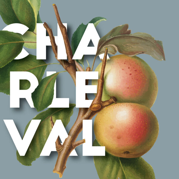 Affiche Pomme de Charleval en Provence - poster vintage et rétro de Frog Posters, zoom