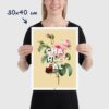 Affiche Rose de Charleval en Provence - poster vintage et rétro de Frog Posters, 30x40cm