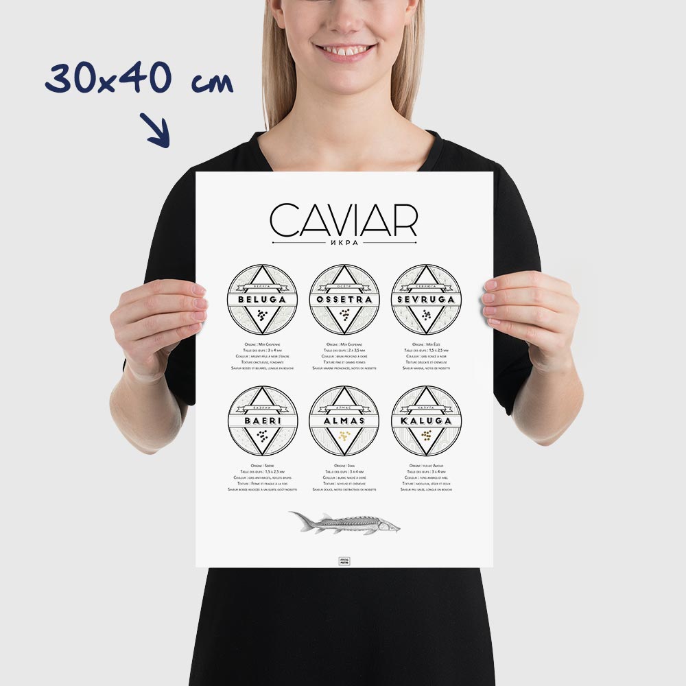 Affiche guide du caviar, des oeufs d'esturgeon beluga, osciètre, sevruga, dimensions 30x40cm