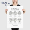 Affiche guide du caviar, des oeufs d'esturgeon beluga, osciètre, sevruga, dimensions 50x70cm