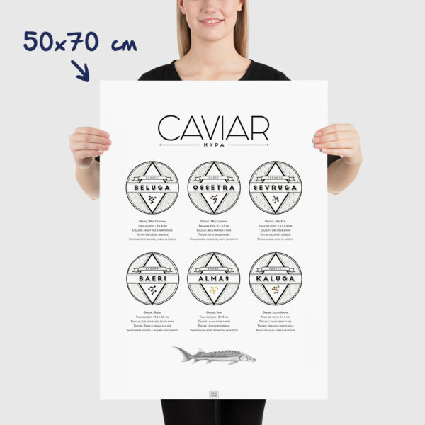 Affiche guide du caviar, des oeufs d'esturgeon beluga, osciètre, sevruga, dimensions 50x70cm