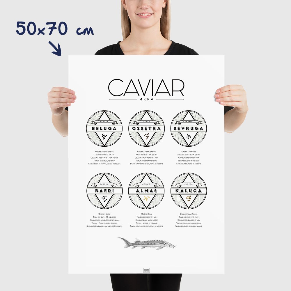 Affiche guide du caviar, des oeufs d'esturgeon beluga, osciètre, sevruga, dimensions 50x70cm