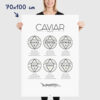 Affiche guide du caviar, des oeufs d'esturgeon beluga, osciètre, sevruga, dimensions 70x100cm
