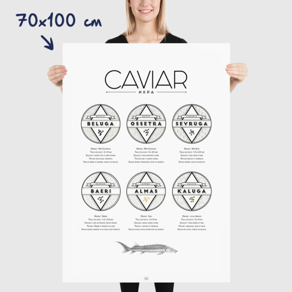 Affiche guide du caviar, des oeufs d'esturgeon beluga, osciètre, sevruga, dimensions 70x100cm