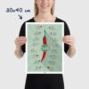 Affiche piments : l'échelle de scoville et la force des piments, dimensions 30x40cm