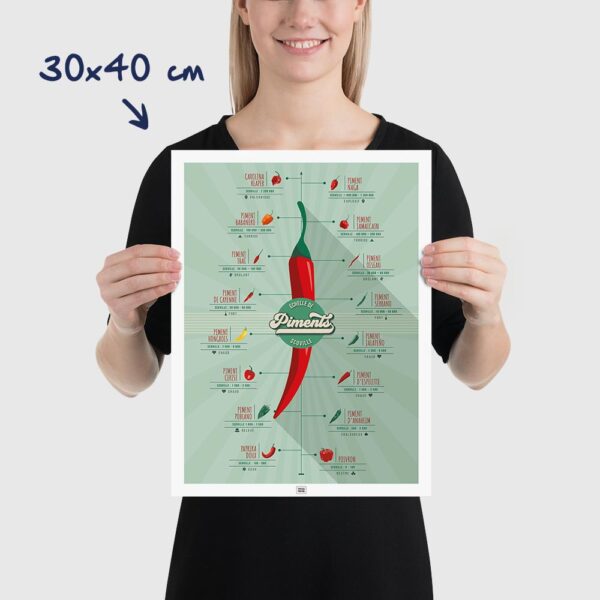 Affiche piments : l'échelle de scoville et la force des piments, dimensions 30x40cm