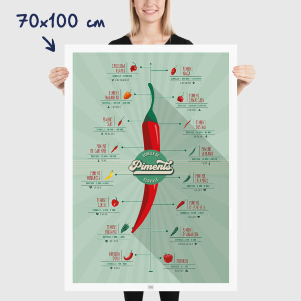 Affiche piments : l'échelle de scoville et la force des piments, dimensions 70x100cm